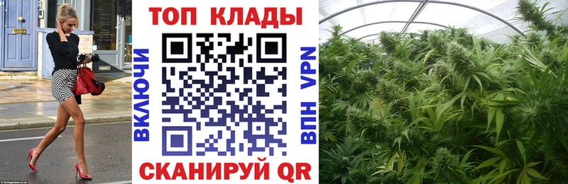 Сколько стоит Новопавловск Амфетамин Codein МАРИХУАНА COCAIN Гашиш