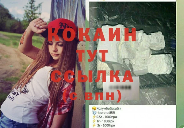 дмт Болотное