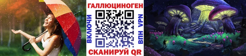 Галлюциногенные грибы Psilocybine cubensis  Новопавловск 