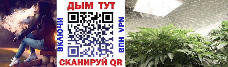 Канабис индика  Новопавловск 